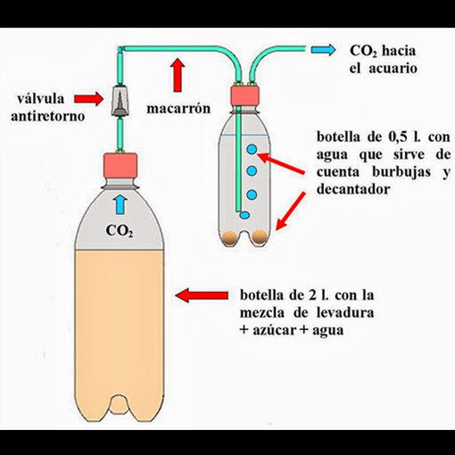 Cómo CO2 Función de difusores en peceras - CO2Art.eu