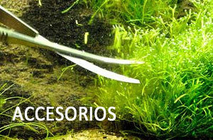 Accesorios