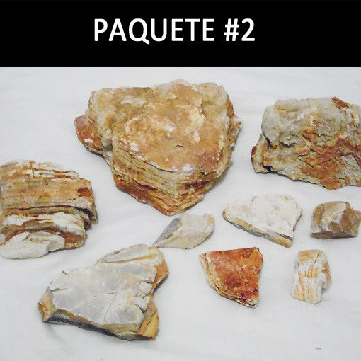  AQUAPLANTASMX - Pagode Stone 60L - Piedras